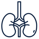 ícone Injuria Renal Aguda