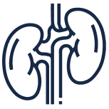 ícone doença renal cronica sabrine braga