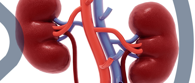 Doença renal crônica Imagem Doença renal crônica